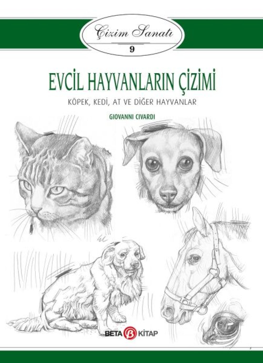 Evcil Hayvanların Çizimi - Çizim Sanatı 9 Köpek, Kedi, At ve Diğer Hayvanlar